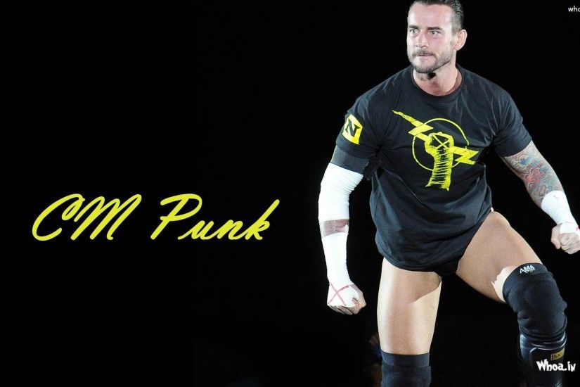 cm punk best in the world song free download
